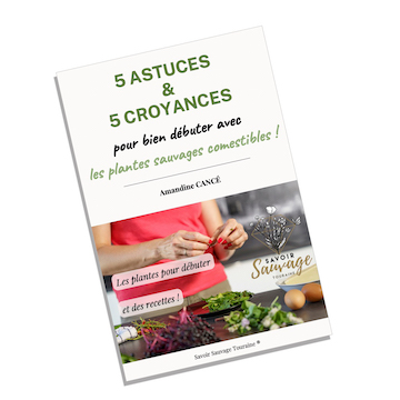 Livres 5 ASTUCES et 5 CROYANCES pour bien débuter avec les plantes sauvages comestibles