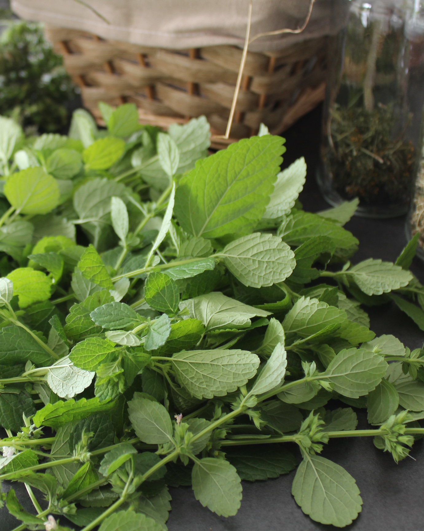 Comment les plantes sauvages sont une solution écologique?