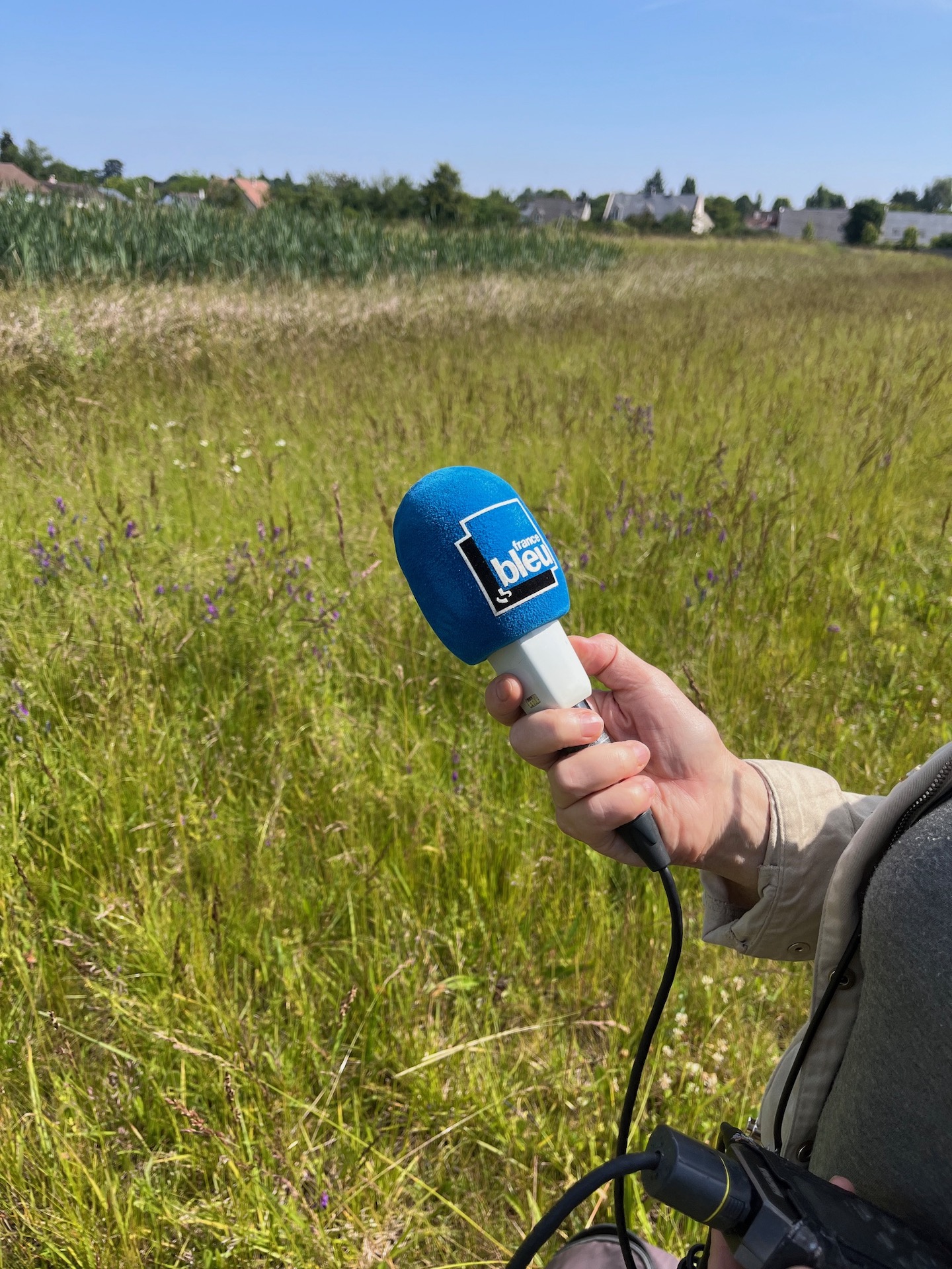 Podcast Environnement : mon interview dans « Plus de temps à perdre » par France Bleu Touraine