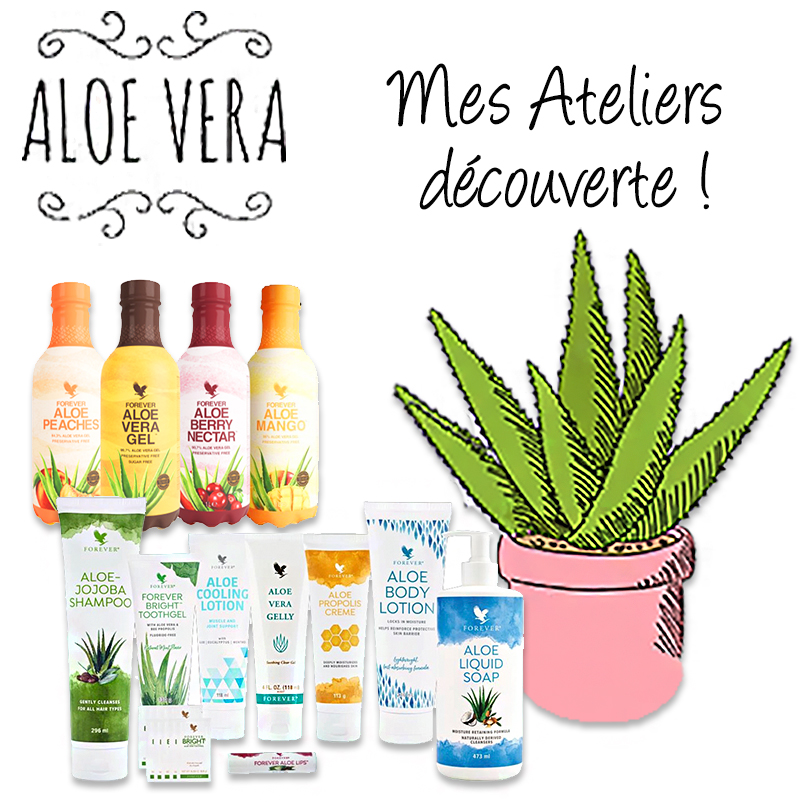 Aloes vera présentation des ateliers