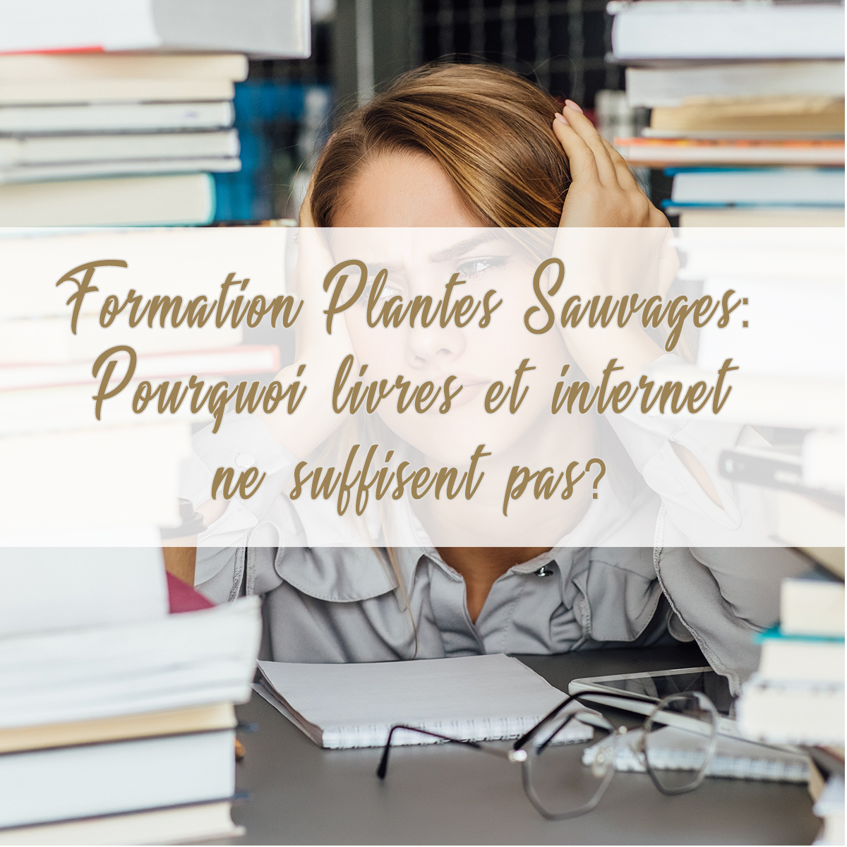 Formation Plantes Sauvages : Pourquoi Livres et Internet Ne Suffisent Pas?