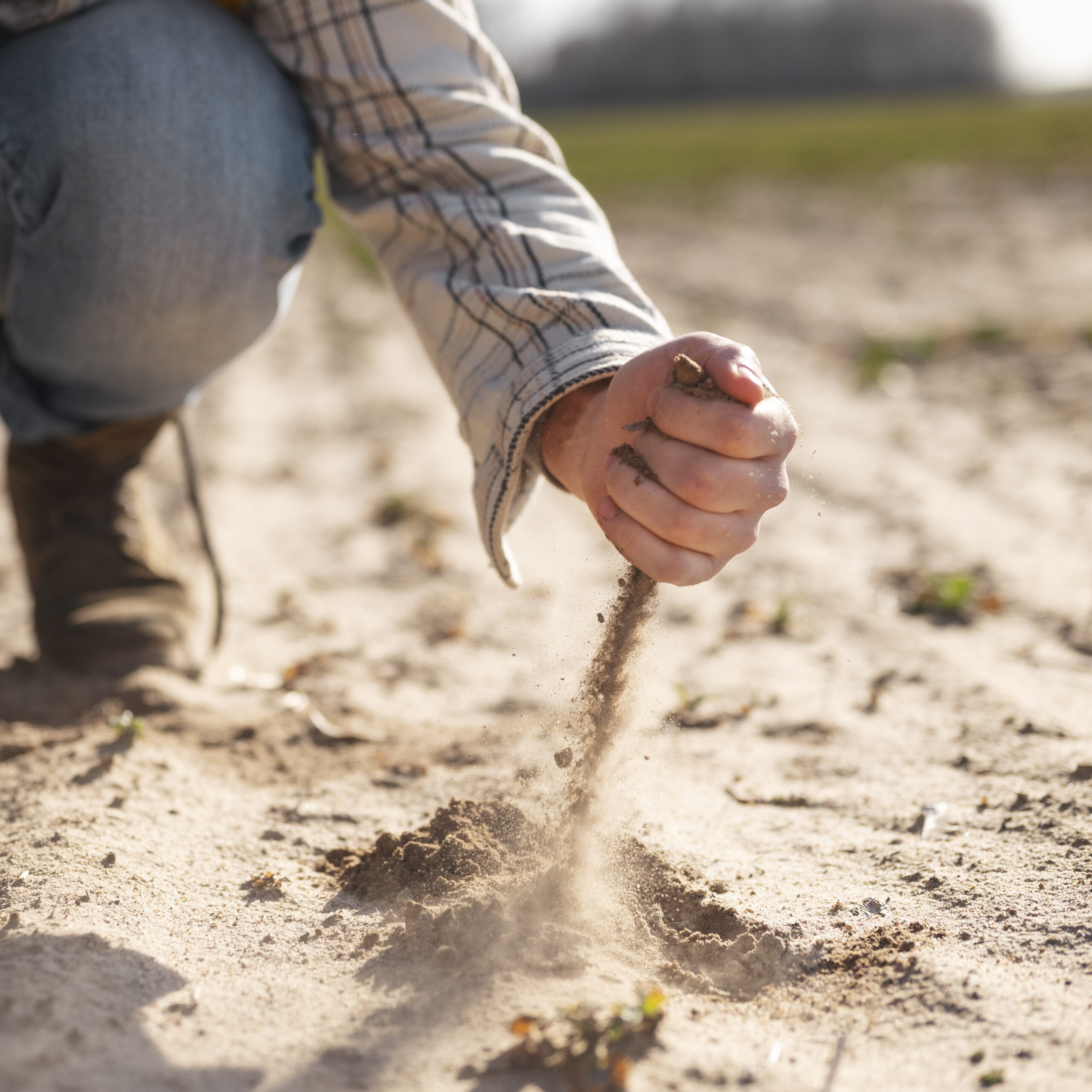 La Qualité du Sol : Un Pilier Essentiel pour la Qualité de Notre Nourriture