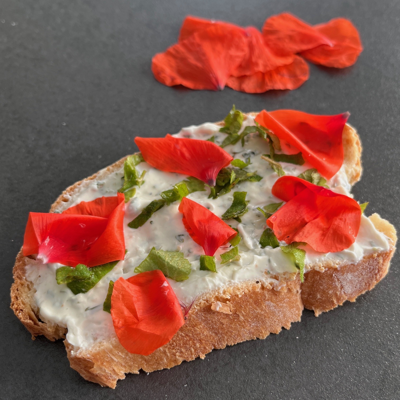 Tartine de lierre terrestre et fromage frais