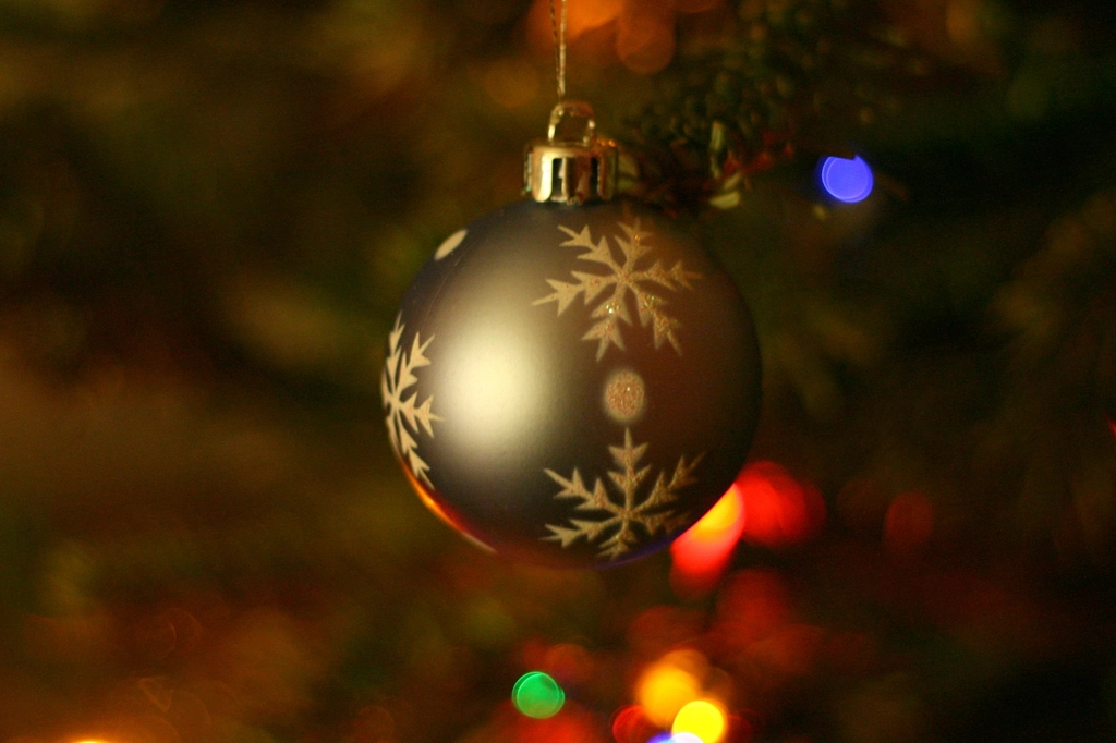 Comment choisir et manger son sapin de Noël ?