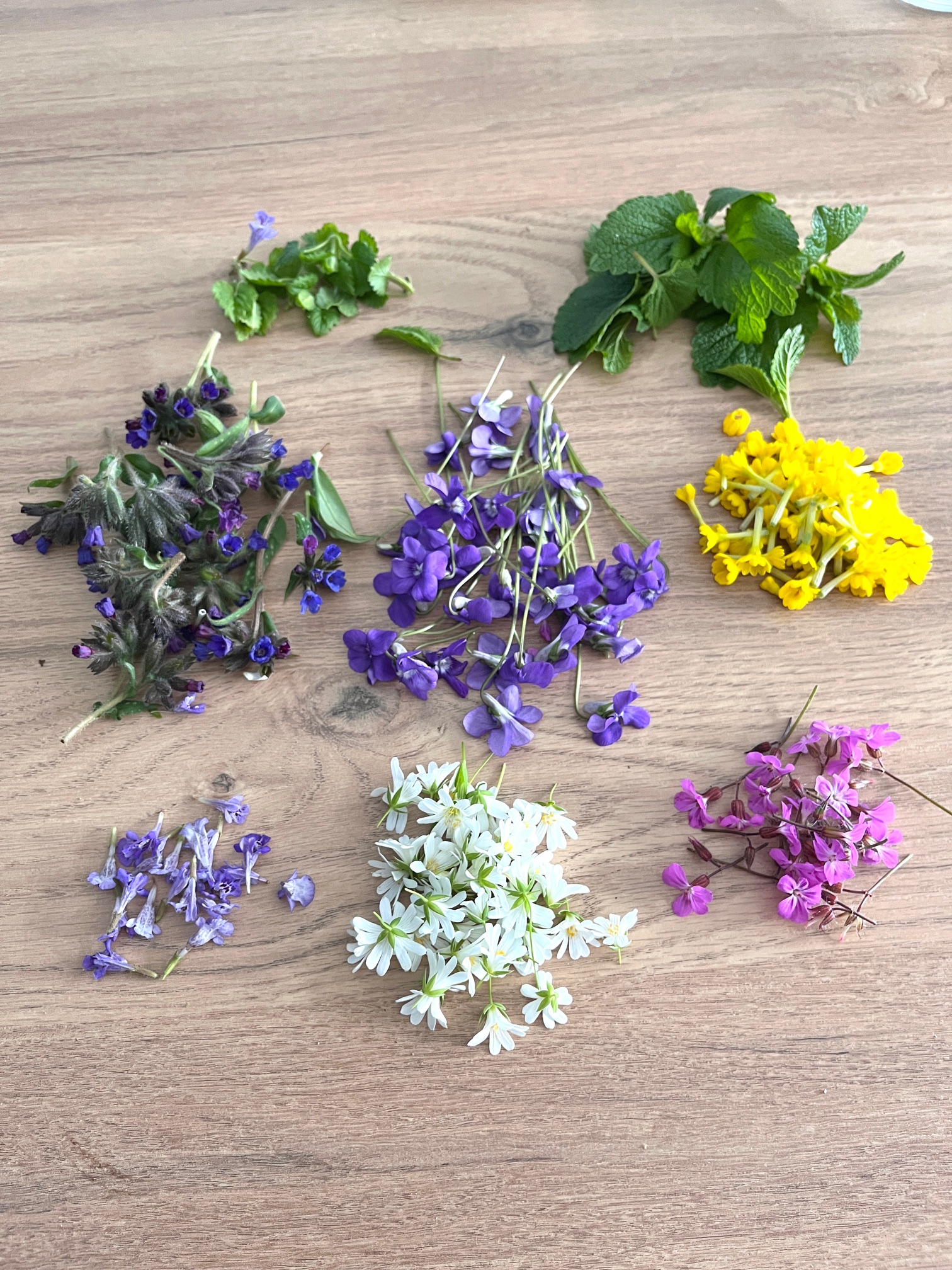 Fleurs comestibles : bien plus qu’un joli décor dans l’assiette