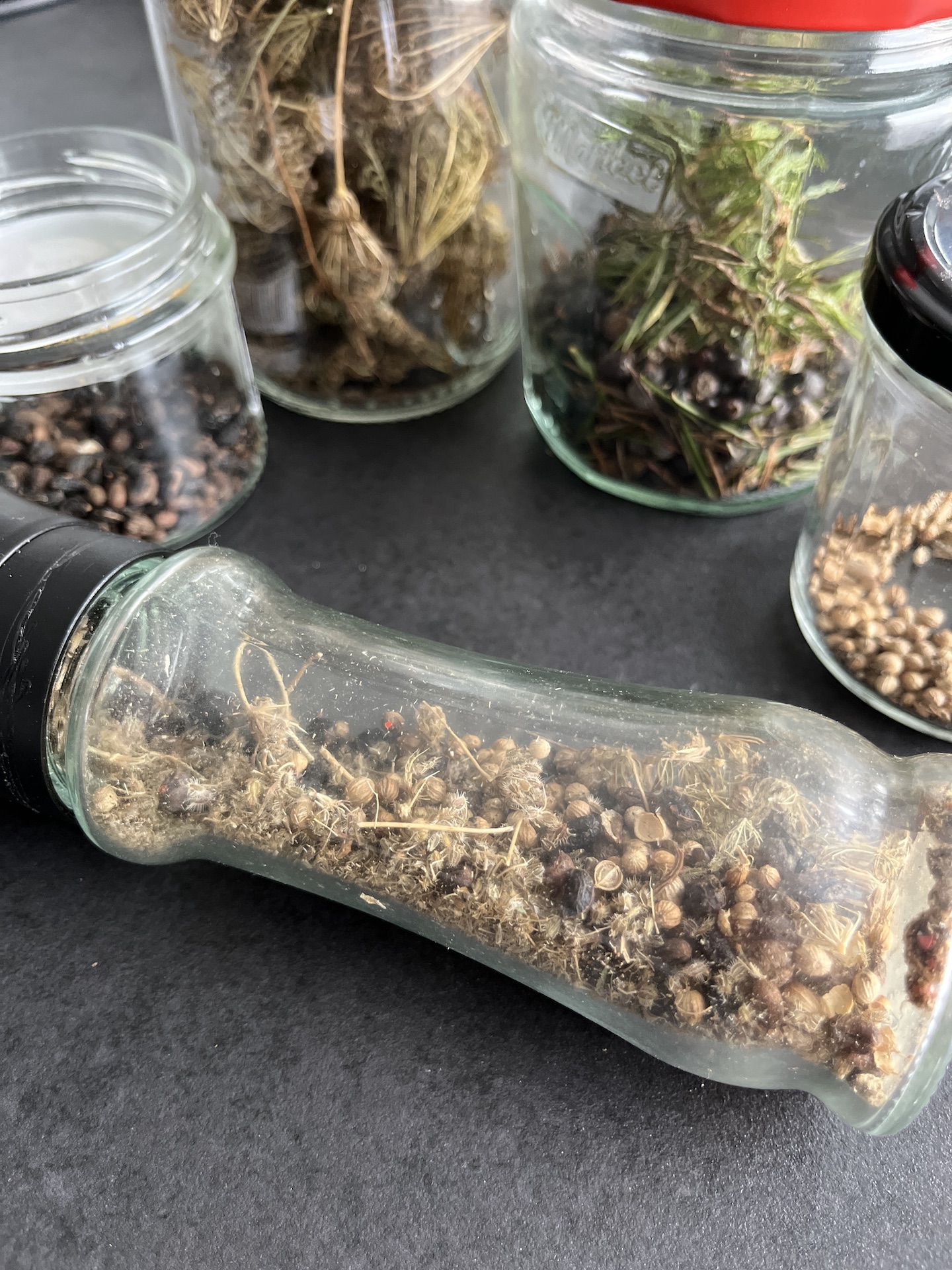 Comment intégrer les plantes sauvages dans ton alimentation ?