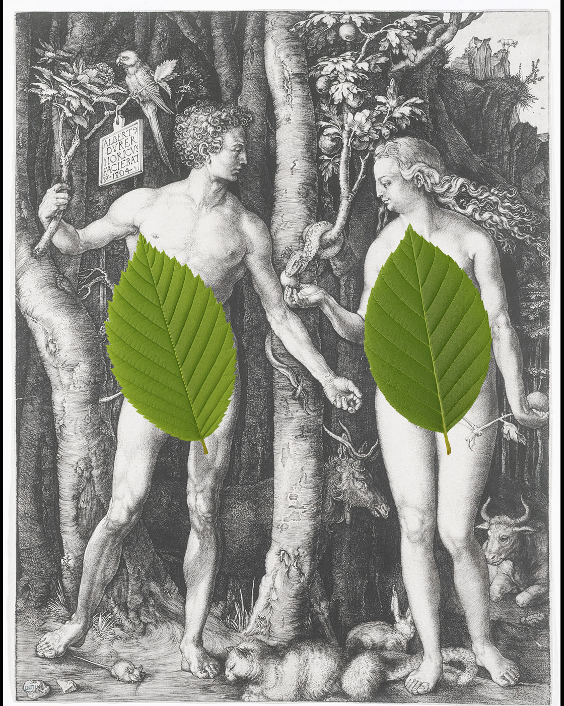 Connais-tu cette phrase de botanique un peu coquine ?