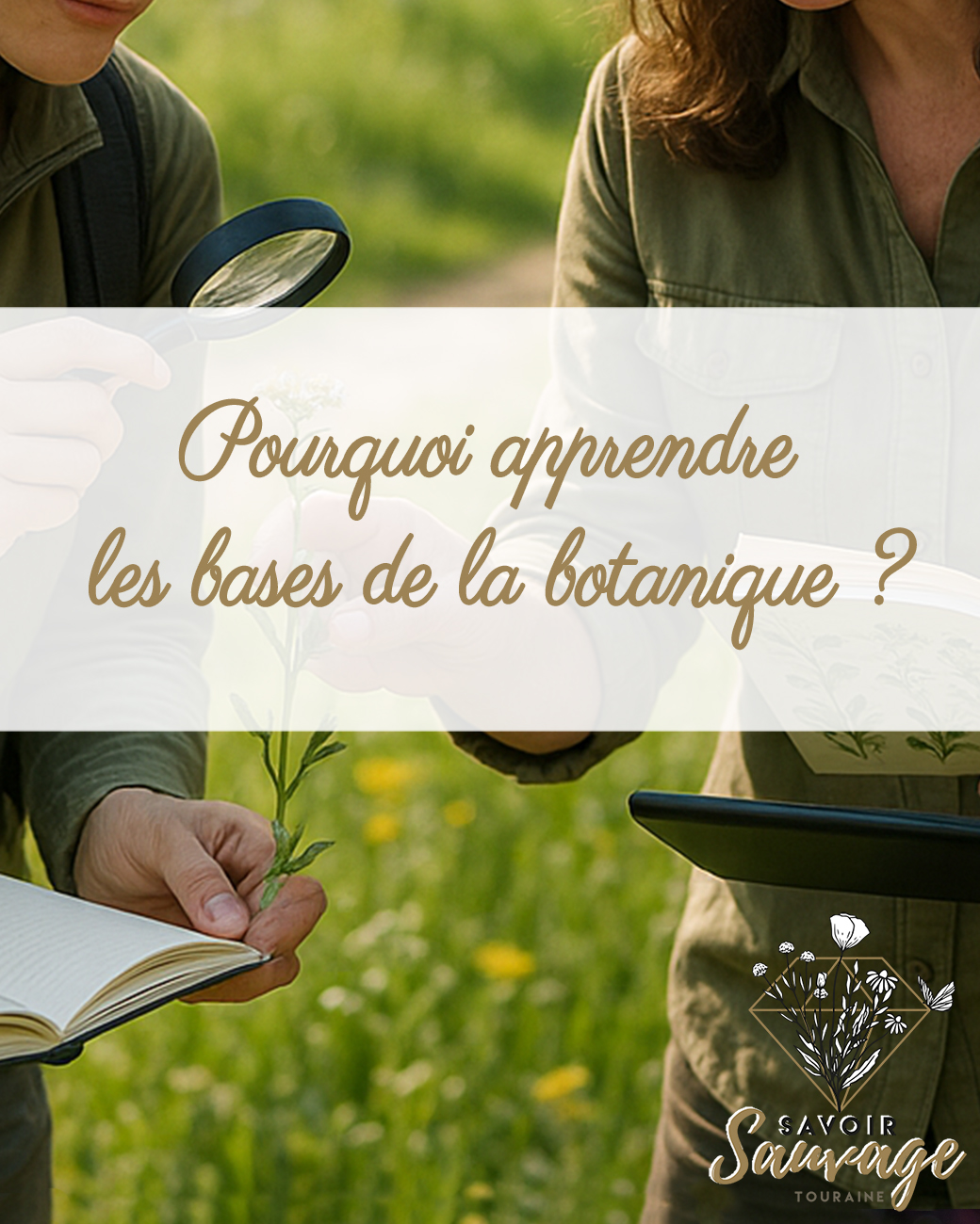 Comment et pourquoi apprendre les bases de la botanique ?