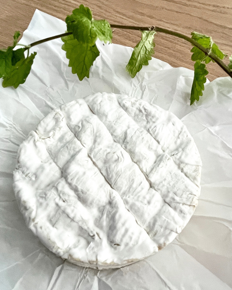 La Plante camembert