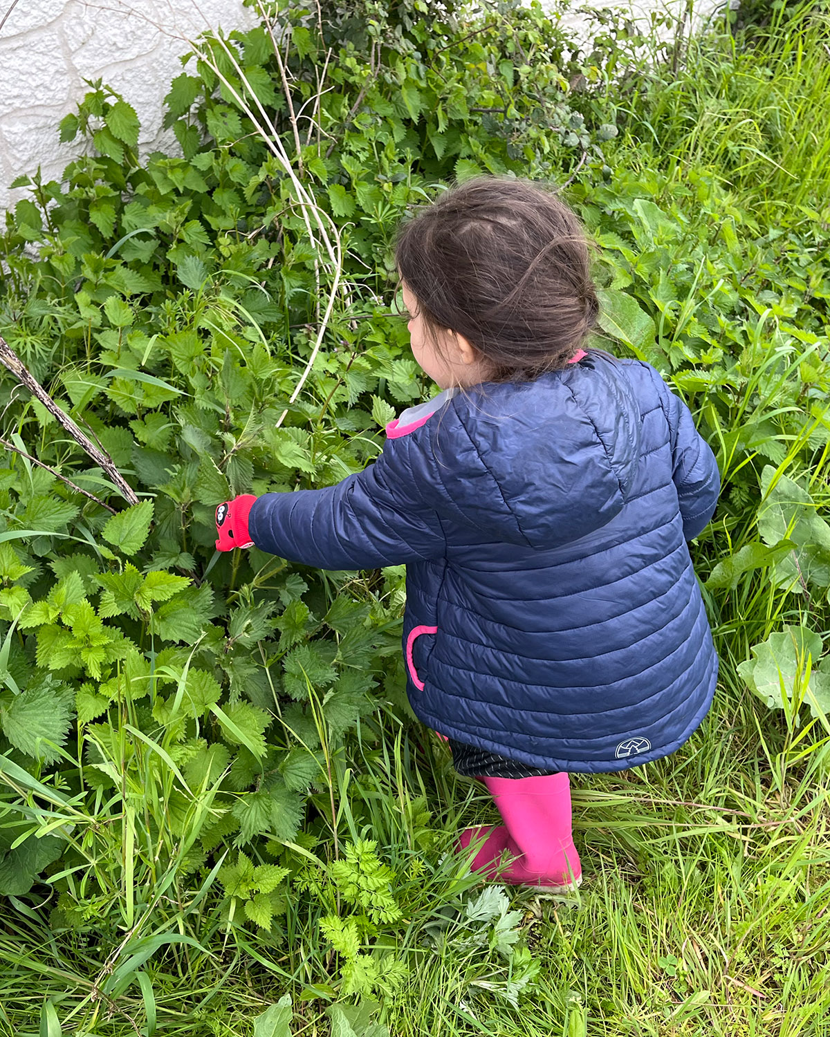 Comment transmettre les bonnes pratiques de cueillette aux enfants ?
