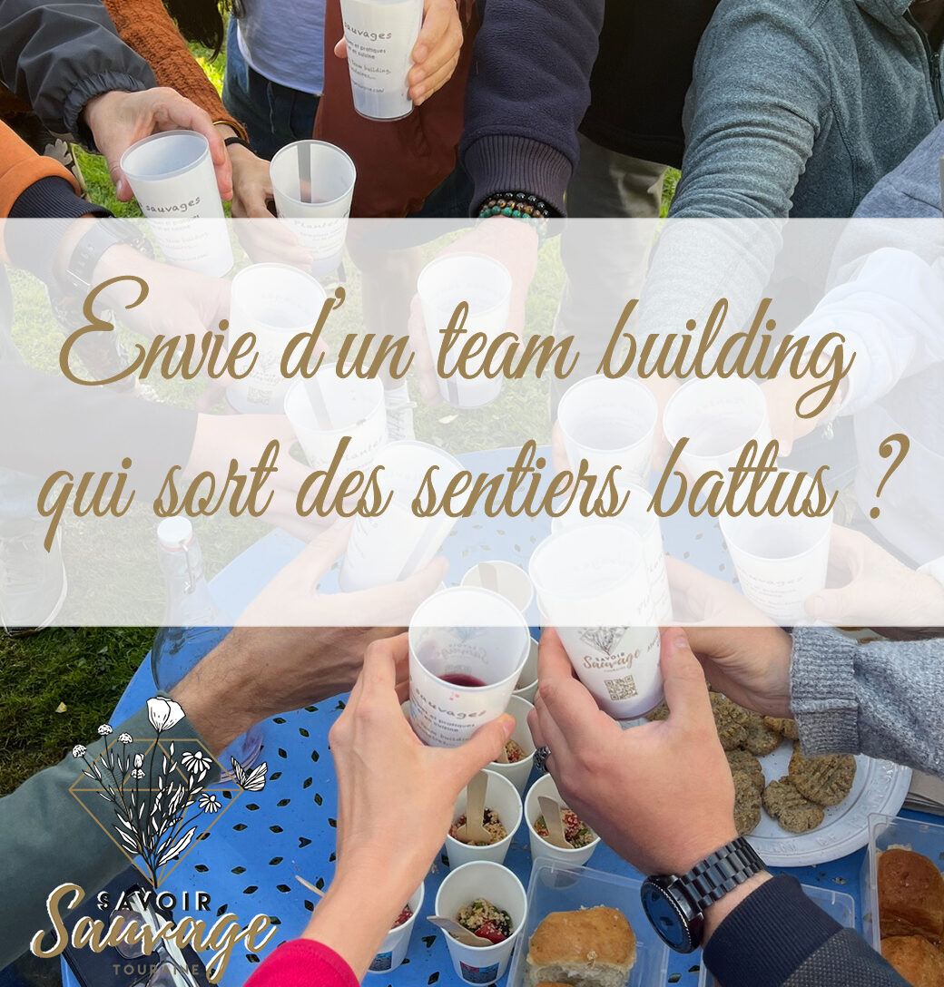 Envie d’un team building original plein de nature ?