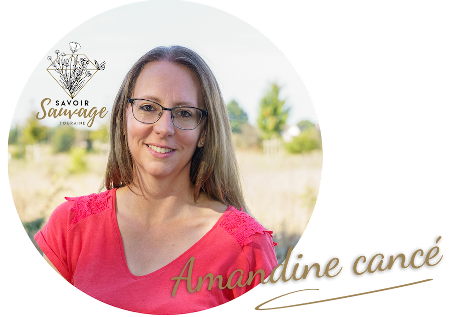 Découvrez mes livres de recettes savoureuses