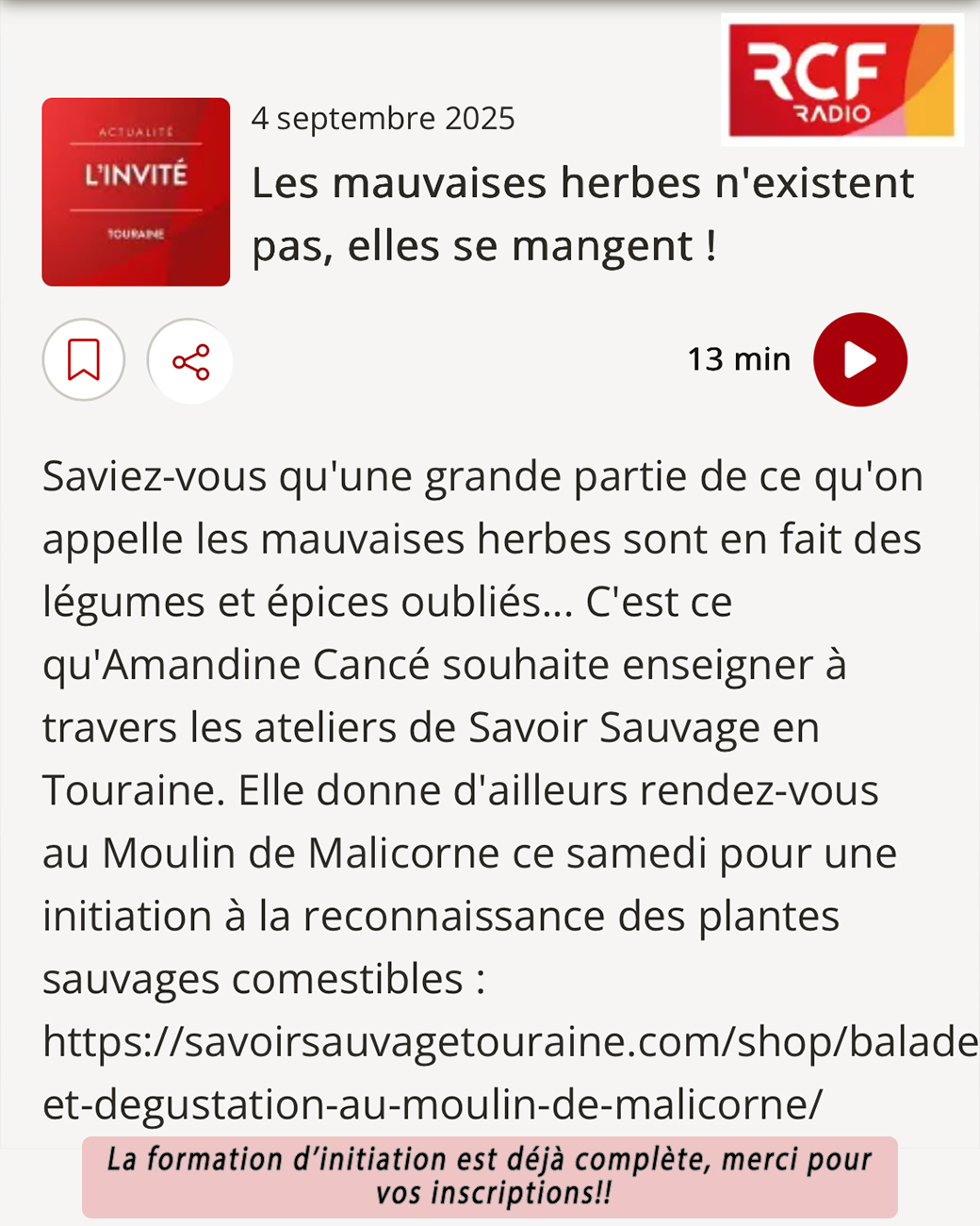 Podcast RCF : Mon témoignage sur la richesse des plantes sauvages et la cuisine nature