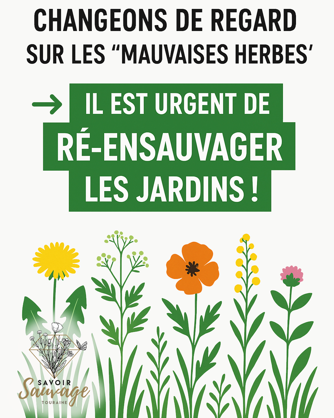 Changeons de regard sur les “mauvaises herbes” : ré-ensauvager son jardin