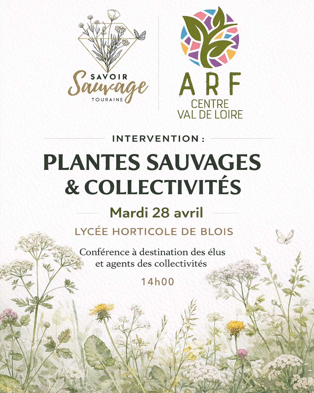Conférence sur les plantes sauvages pour les collectivités