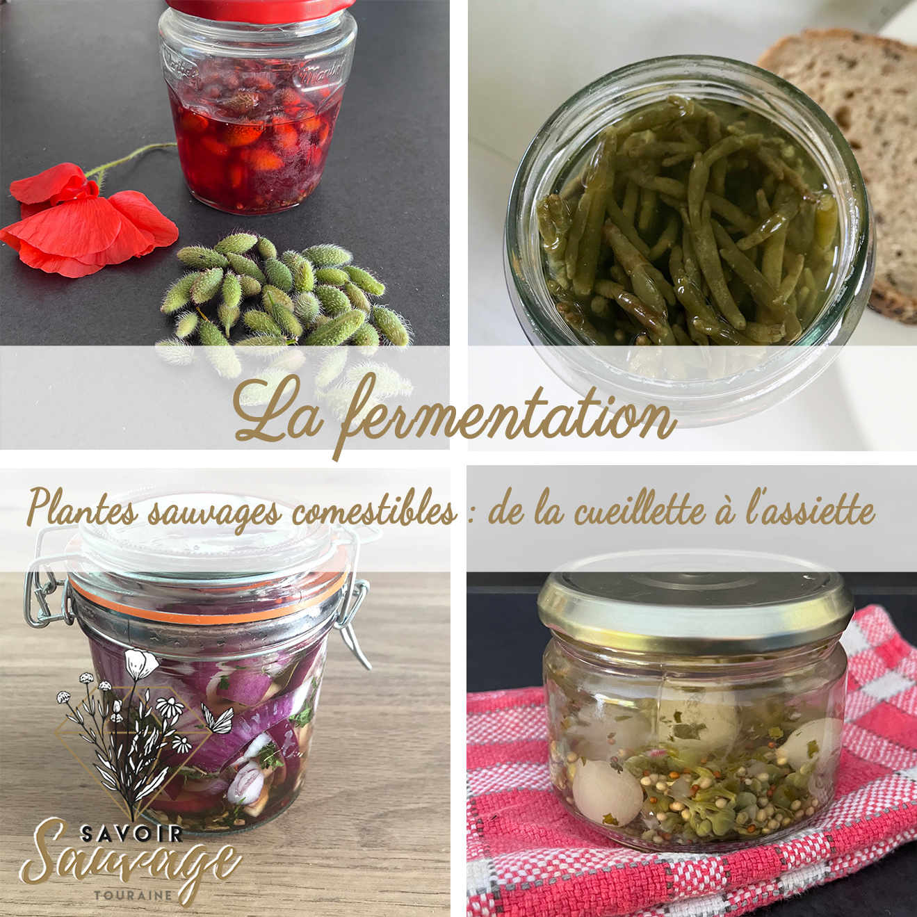 La fermentation, une pratique ancestrale devenue technologie de santé