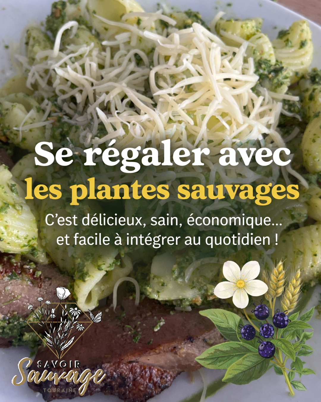 Pesto aux orties Bienfaits écologie et économies