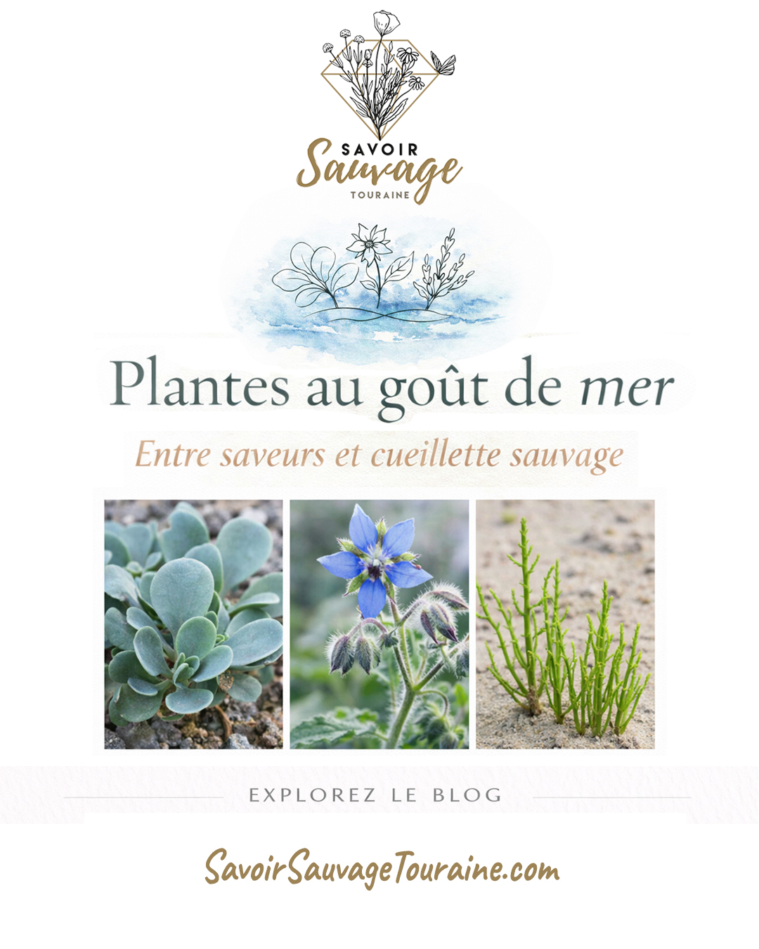 plantes au goût de poisson