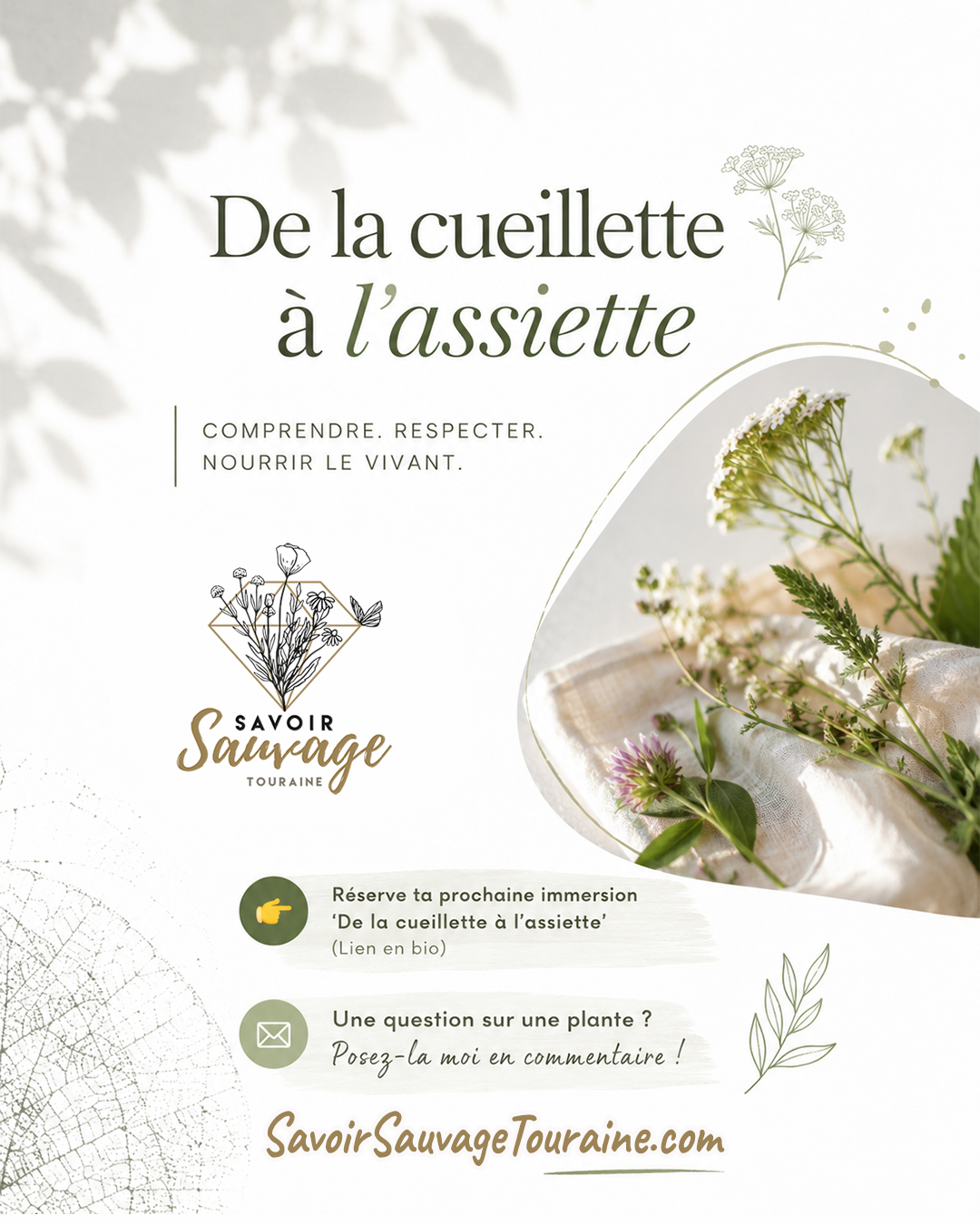 De la cueillette à l’assiette