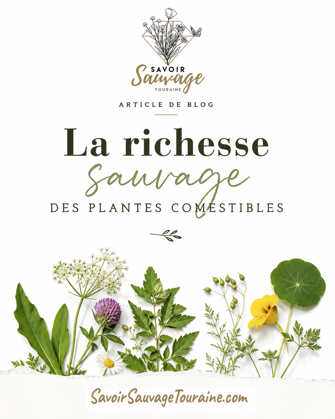 Le génie des plantes intelligence fascinante