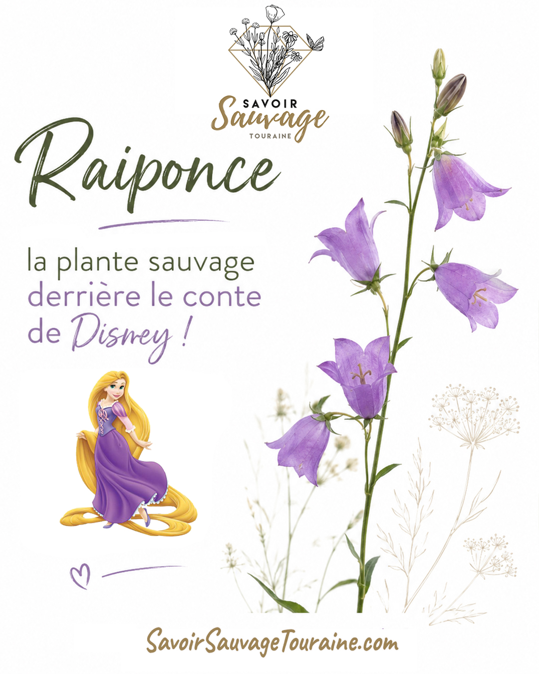 Raiponce plante sauvage vs film disney