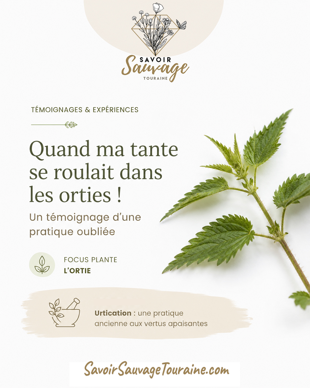 Témoignage l'urtication ortie anti-inflammatoire