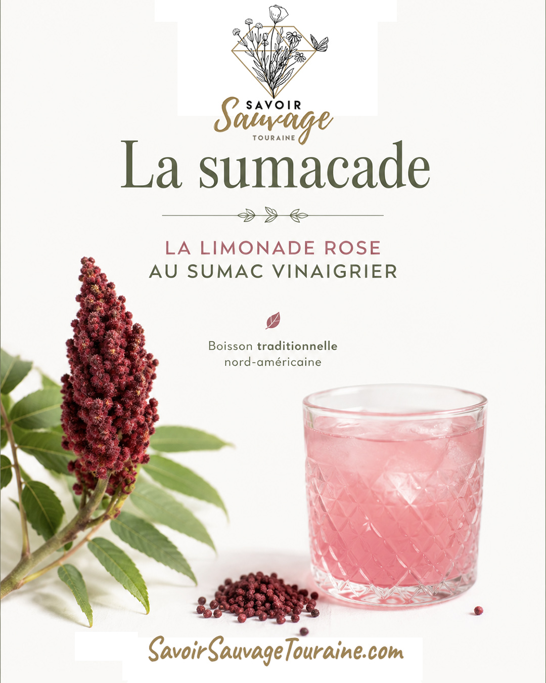 sumacade sumac vinaigrier de Virginie boisson