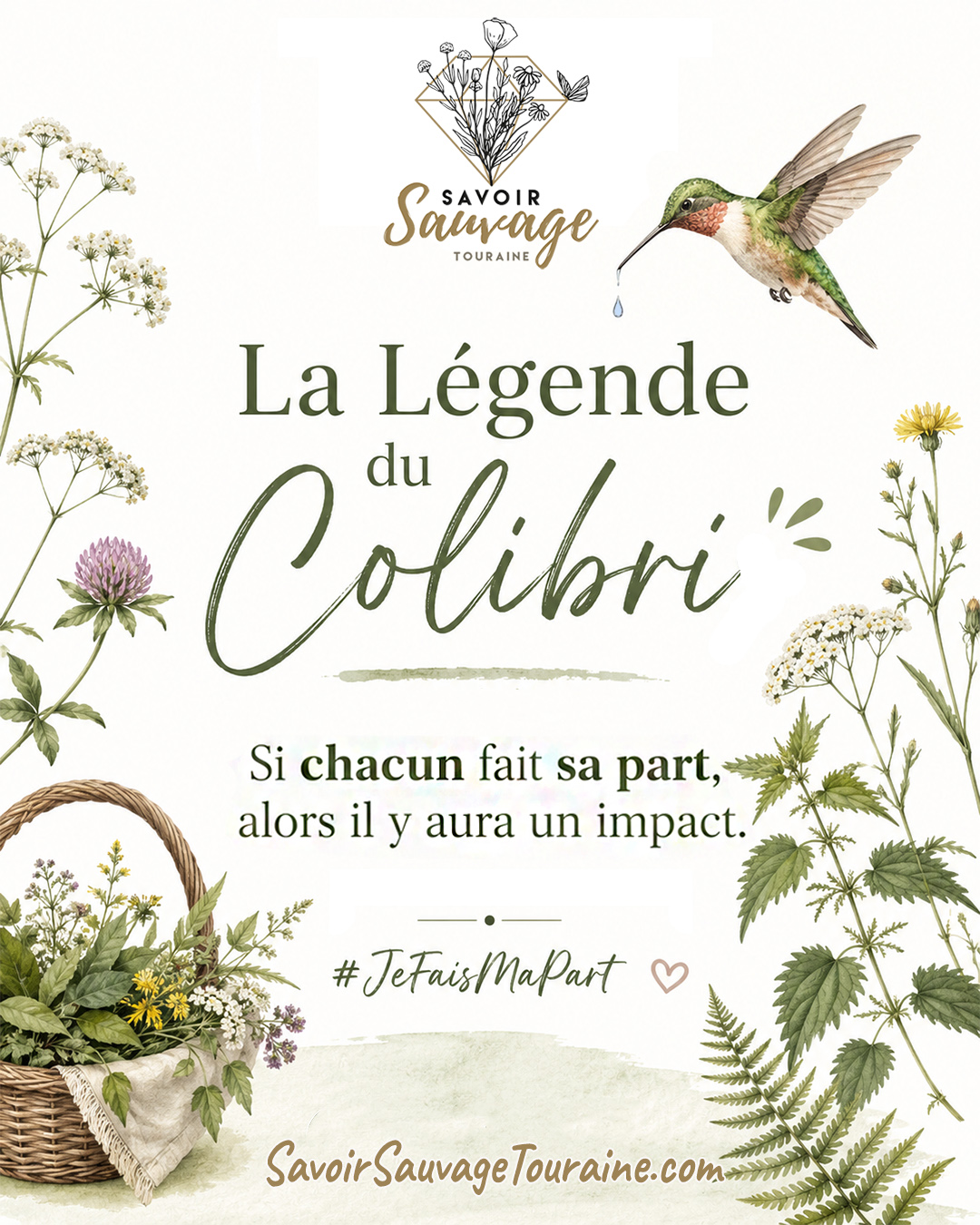 La Légende du colibri je fais ma part
